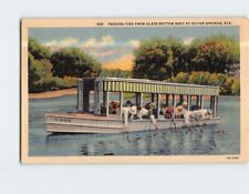 Postcard Feeding Fish from Glass Bottom Boat Silver Springs Florida USA picture