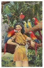 Miami Florida c1930's Parrot Jungle, Woman, Macaws, birds picture