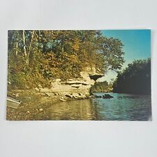 Vermilion River Pontiac Illinois Livingston County Chrome Postcard Unposted picture