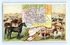 Arbuckle Ariosa Coffee Trade Card Wyoming Map Horses Cattle Dakota VTG Ad picture