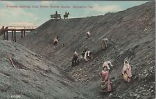 Hazleton, PA: Female Coal Pickers In Waste Dump - Vintage Pennsylvania Postcard picture