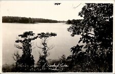 Sister Lakes Michigan RPPC Lake Scene of Crooked Lake Postcard W1 picture
