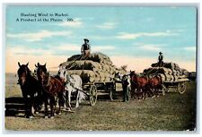 c1910's Hauling Wool To Market A Product Of The Plains Chinook Montana Postcard picture