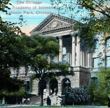 The Chicago Academy of Sciences Lincoln Park Chicago Vintage Postcard A8 picture