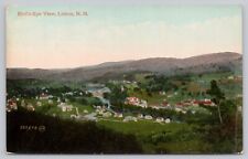 Lisbon New Hampshire, Birdseye View, Vintage Postcard picture