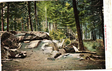 The Sanctuary Prout's Neck Maine Undivided Postcard c1906 picture