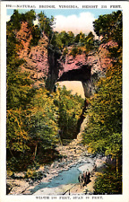 Vintage C. 1920s Natural Bridge Seven Wonders 215 Feet Tall Virginia VA Postcard picture