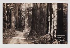 RPPC,Del Norte Redwood Loop,Near Crescent City,CA.Patterson Photo,Used,c.1930s picture