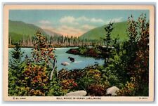 1939 View Of Bull Moose River Grand Lake Maine ME Posted Vintage Postcard picture