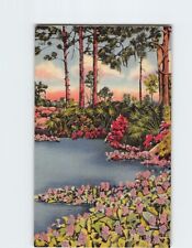 Postcard Beautiful Hyacinth Pool Florida USA picture