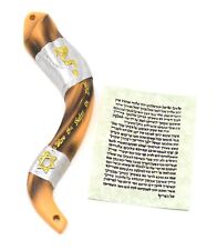 Shofar Mezuzah Star of David SHADI God Name in Hebrew non kosher scroll 5.5