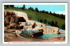Yellowstone Park Cleopatra Terrace Mammoth Hot Spring Wyoming Vintage Postcard picture