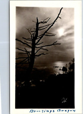 RPPC Brookings OR Dead Tree Ocean Clouds A/S AZO 1924-1949 photo postcard NP2 picture