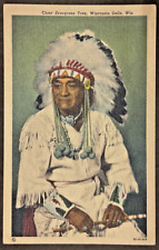 Chief Evergreen Tree Wisconsin Dells WI TV & Radio Performer SHIPS FREE picture