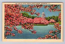 Washington D.C. Capitol Building Vista Through Cherry Blossoms, Vintage Postcard picture
