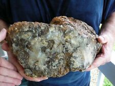 DF860-1) 26 pound Fossil REAL DINOSAUR POOP Coprolite Dino Valley Utah DUNG Poo picture