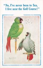 Artist Signed Don McGill  Two Parrots I’ve Never Been to Sea Vintage Postcard picture