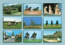 Postcard Puszta Hungary Protected Area Of Land Post Card picture
