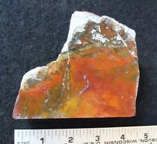 Gorgeous JASPER faced rough … wonderful colors … 1.2 lbs … WA picture