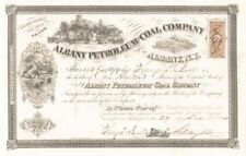 Albany Petroleum and Coal - Stock Certificate (Uncanceled) - Oil Stocks and Bond picture
