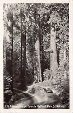RPPC Sequoia National Park CA Gateway Group Giant Trees Photo Vtg Postcard A8 picture