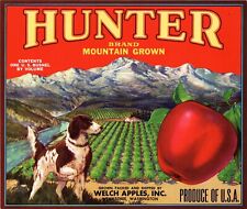 5 Vintage HUNTER Brand Apple Fruit Crate Labels Wenatchee, Washington picture