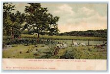 c1905 Landscape Near Fort Dodge Crawford Hotel Fort Dodge Iowa Vintage Postcard picture