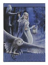 Anne Stokes Silver Owl Midnight Messenger Hard Cover Embossed Collector Journal picture
