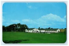 1952 The Meadows Motel, 1 Mile West of Lima New York NY Vintage Postcard picture