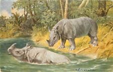 Africa Miler artist impression C-1910 Rhinoceros Postcard 20-9858 picture
