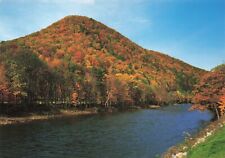Postcard PA Williamsport Katy Jane Mt. Loyalsock Creek Valley Mountains Forest picture