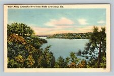 Jesup GA, View Along Altamaha River From Bluffs, Georgia c1951 Vintage Postcard picture