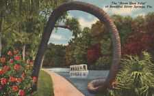 Postcard FL Silver Springs Florida Horse Shoe Palm Linen Vintage PC b5009 picture