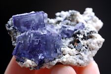 63g Natura Cube Purple FLUORITE Arsenopyrite Mineral Specimen/Yaogangxian  China picture