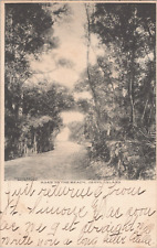 Postcard 1906 Jekyl Island GA Georgia Rare View Albertype UDB picture