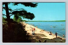 Traverse City MI-Michigan Traverse City State Park Beach Scene Vintage Postcard picture