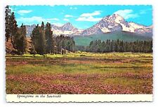Postcard Continental View Springtime In The Sawtooth Valley Idaho picture