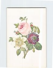 Postcard Anemone, Rose & Clematis Drawn by Pierre Joseph Redoute picture