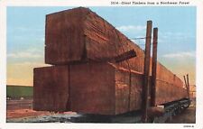 Giant Timber from a Northwest Forest Spokane Washington picture