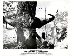 KC12 Original Photo GEORGE ADAMSON 1970 JAMES HILL'S AN ELEPHANT CALLED SLOWLY picture