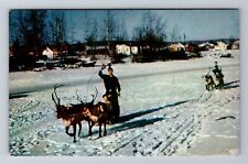 Fairbanks AK-Alaska, Reindeer Team And Sled, Antique, Vintage Souvenir Postcard picture
