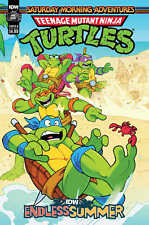 Idw Endless Summer--Teenage Mutant Ninja Turtles: Saturday Morning Adventures Va picture