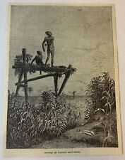 1877 magazine engraving ~ EGYPTIAN BOY WATCHING GRAIN FIELDS picture