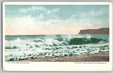 San Diego, California - Point Loma - Vintage Postcard - Unposted picture