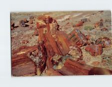 Postcard Petrified Wood Petrified Forest National Monument Highway 66 Arizona picture
