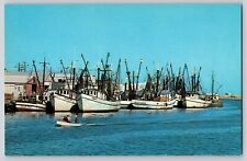 Postcard Shrimp Boats of Brownsville Texas c1970s picture