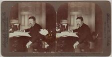 PRESIDENT SV - Teddy Roosevelt at His Desk - William H Rau picture