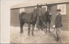 RPPC Postcard Boy Holding Two Horses c. 1900s  picture