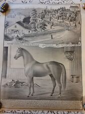 Vintage Old 1880 Poster Drawing of Houses Horse Jefferson County Pennsylvania  picture