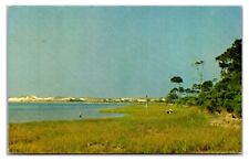 Vintage 1950s- St. Josephs State Park- Port St. Joe, Florida Postcard (UnPosted) picture